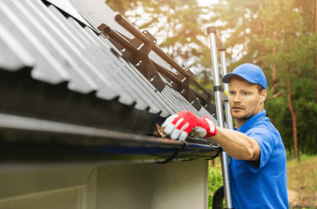 mount pleasant gutter service